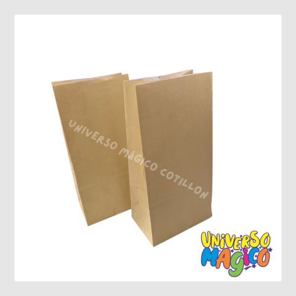 BOLSAS DE CARTON X10 - Imagen 19