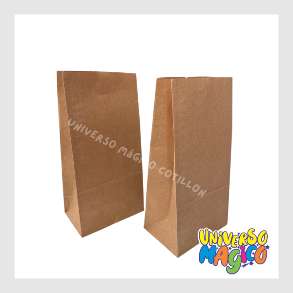 BOLSAS DE CARTON X10 - Imagen 15