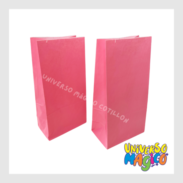 BOLSAS DE CARTON X10 - Imagen 13