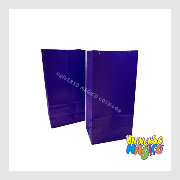 BOLSAS DE CARTON X10 - Imagen 16