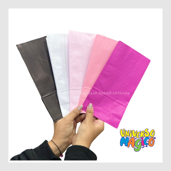 BOLSAS DE CARTON X10 - Imagen 4