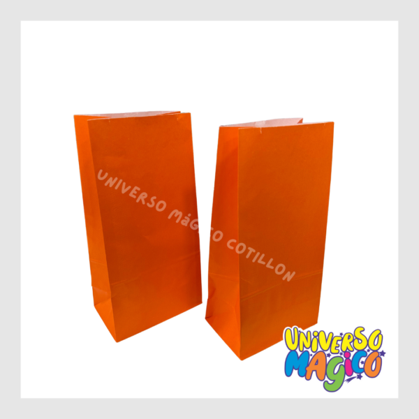 BOLSAS DE CARTON X10 - Imagen 6