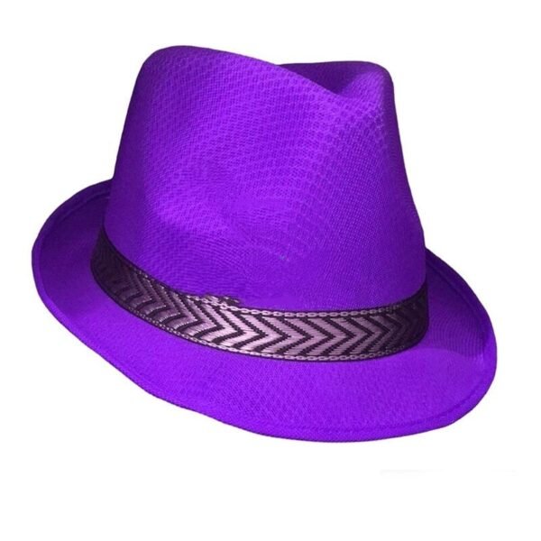 SOMBRERO TANGUERO COLORES - Imagen 6